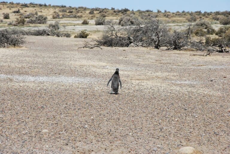 zach-kirby-uG0emyybPjk-unsplash-2048x1371